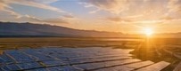 Utility-scale solar field